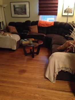 heatherhoehn profile photo