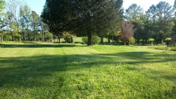 elderlycare profile photo