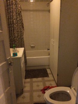 thayes1 profile photo