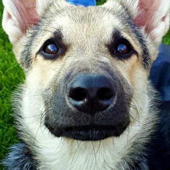 KayDep13 profile photo