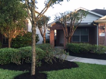 Phin Dinh profile photo