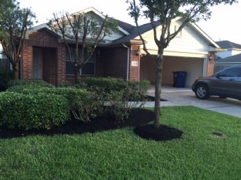 Phin Dinh profile photo