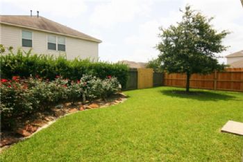 Phin Dinh profile photo