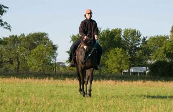 dsenter profile photo