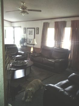 petuniaflowe profile photo