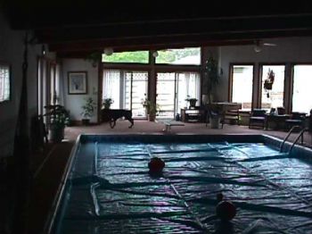 thecman profile photo