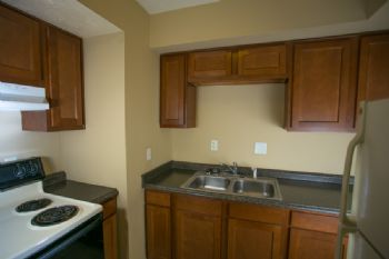 shae0680 profile photo