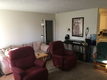 danimal16 profile photo