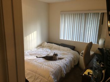 danimal16 profile photo