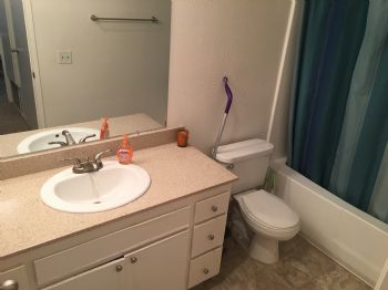 danimal16 profile photo