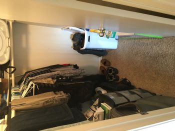 danimal16 profile photo