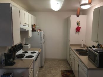 danimal16 profile photo