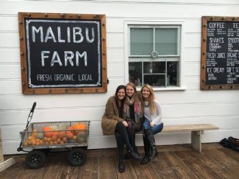 angie122195 profile photo