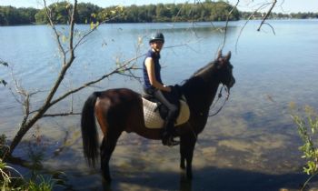 DMazer profile photo