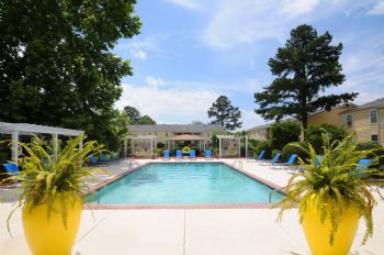 LaurynB profile photo