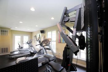 LaurynB profile photo