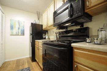 LaurynB profile photo