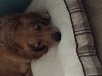 Chuck989 profile photo