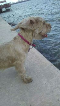 kika4567 profile photo