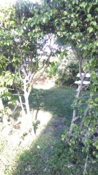 kika4567 profile photo