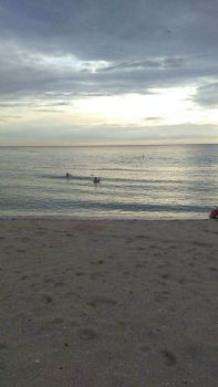 kika4567 profile photo