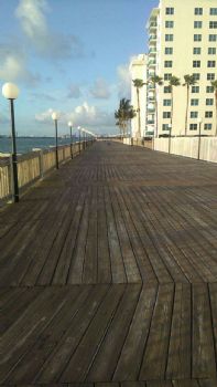 kika4567 profile photo