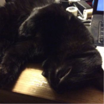 Contemptress profile photo