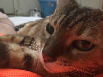 chris575 profile photo