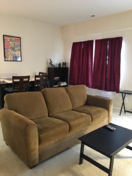 megob88 profile photo