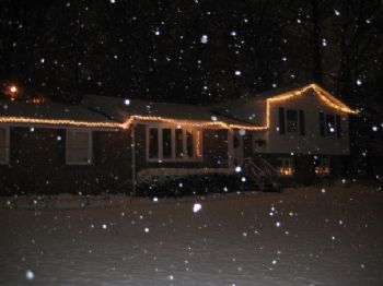 sthomas59 profile photo