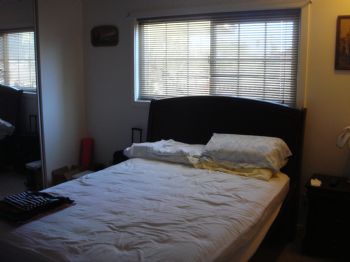 osobear profile photo