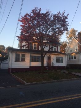 stabird profile photo