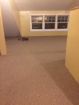 stabird profile photo