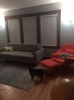 stabird profile photo