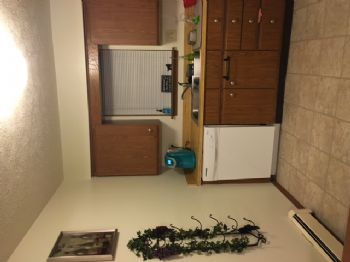 lj0323 profile photo