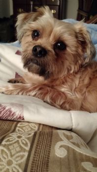 dreamkat25 profile photo