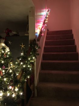 CathyD profile photo