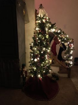 CathyD profile photo