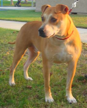 HBLaura profile photo