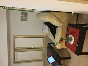 ratul041 profile photo