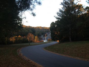 4Strings profile photo