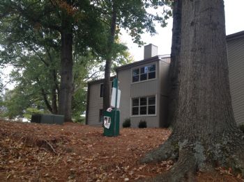 4Strings profile photo