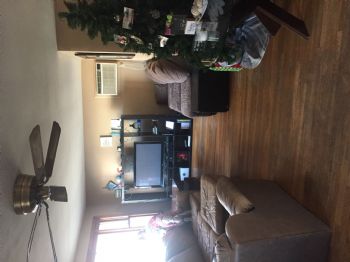 skerryk profile photo