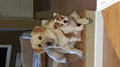 Tervy03 profile photo