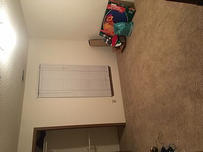 *Danielle11 profile photo