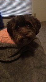 *Danielle11 profile photo