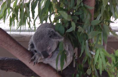 S.Lash profile photo