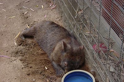 S.Lash profile photo