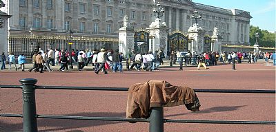 S.Lash profile photo