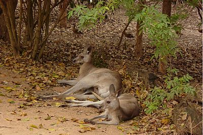 S.Lash profile photo